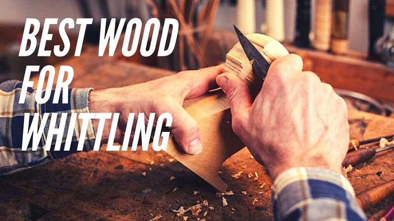 Best Wood for Whittling