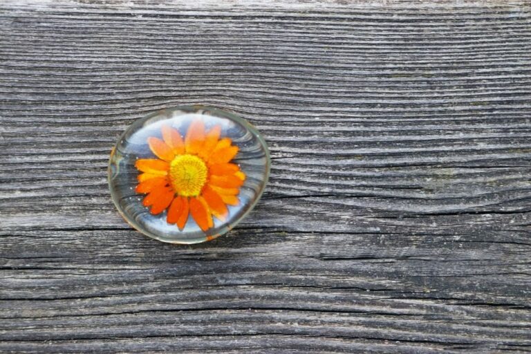 How To Preserve Flowers In Resin Crafters Diary